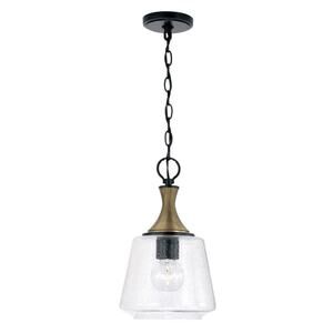 Capital Lighting Amara 9-Inch Mini Pendant in Matte Black and Brass